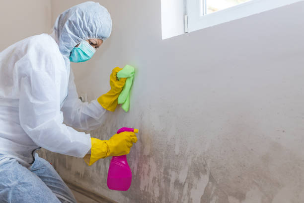 Best Residential Mold Inspection & Testing  in Spokane, WA