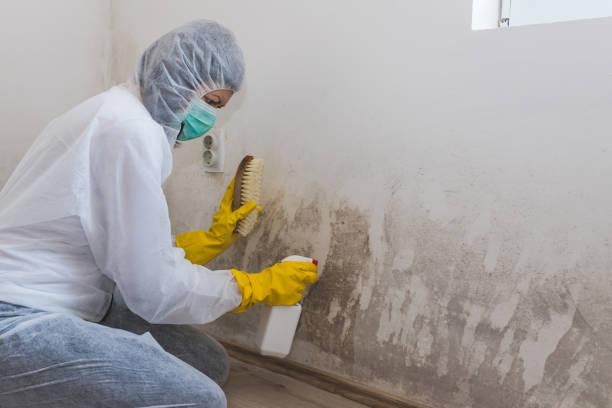 Best Biohazard Mold Removal  in Spokane, WA